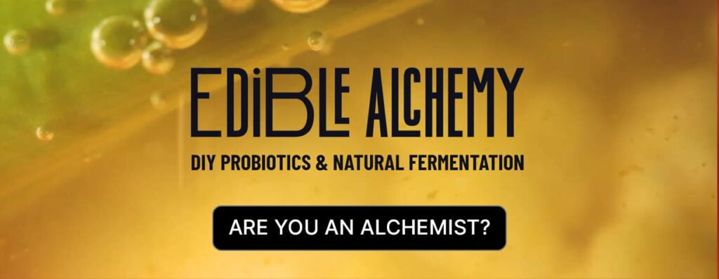 Fermentation by Edible Alchemy