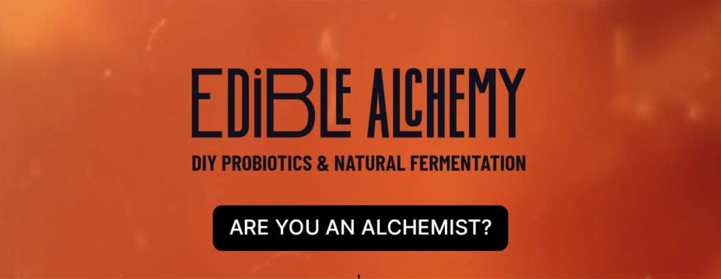 DIY Probiotics & Natural Fermentation Course