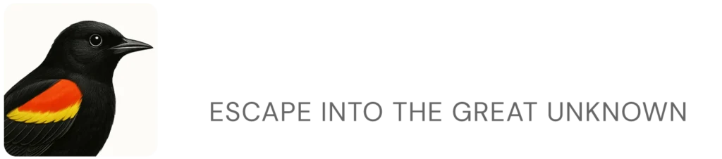 Jef van de Graaf | Freelance Copywriter, Fractional CMO, and Website Marketing Expert