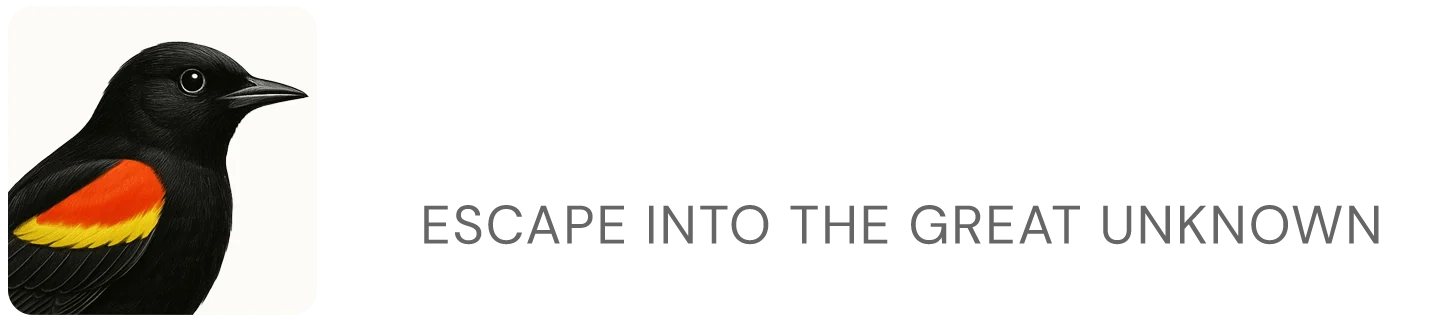 Jef van de Graaf™