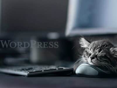 What is WordPress?