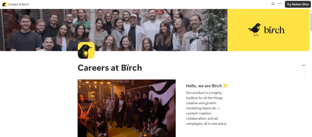 Bïrch's logo that led to an ah-ha moment when I saw a Canadian Migratory Bird while cycling.