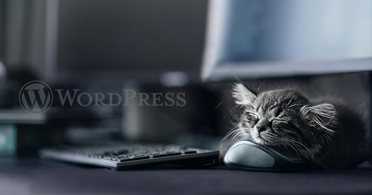 What is WordPress?